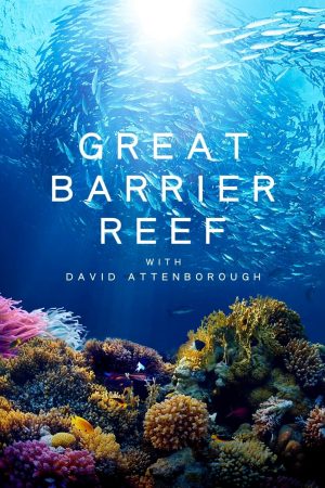 Poster phim Khám Phá Rạn San Hô Great Barrier cùng David Attenborough