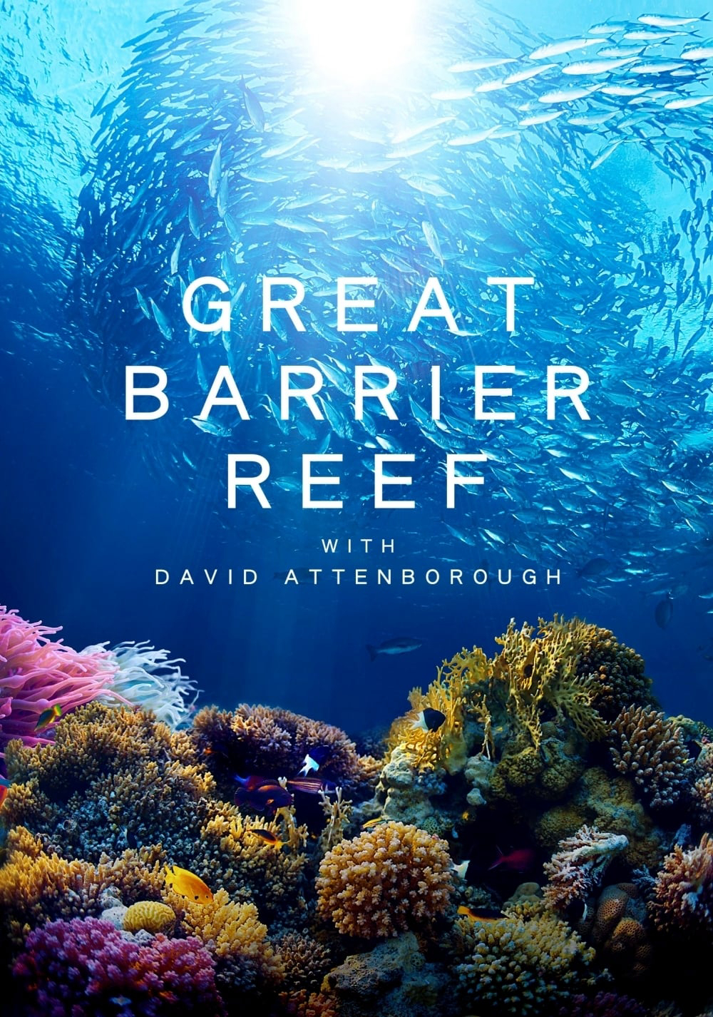 Poster phim Khám Phá Rạn San Hô Great Barrier cùng David Attenborough