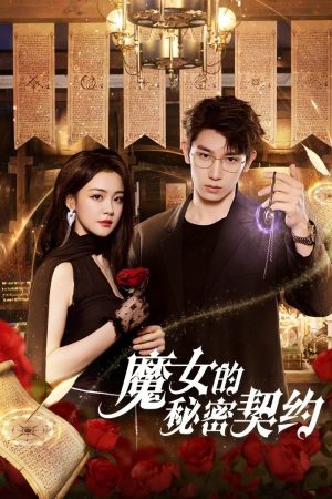 Poster phim Khế Ước Bí Mật Của Phù Thủy