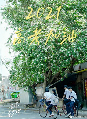 Poster phim Khi Em Còn Niên Thiếu