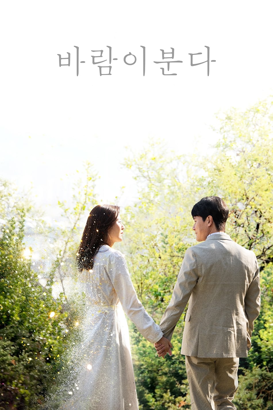 Poster phim Khi gió thổi