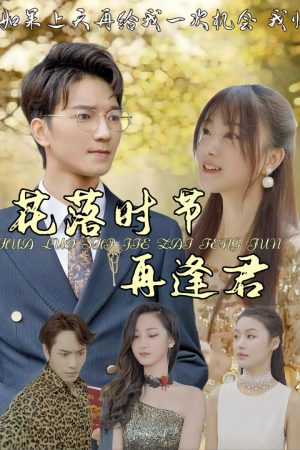 Poster phim Khi Hoa Rơi, Ta Gặp Lại Nhau
