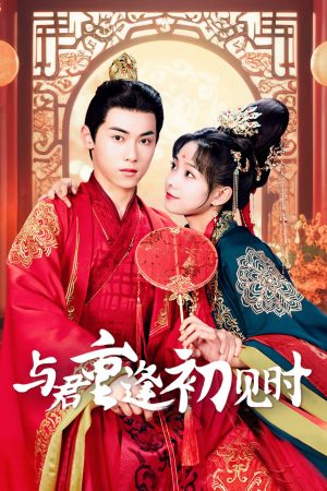 Poster phim Khi Ta Gặp Nhau Lần Đầu Tiên