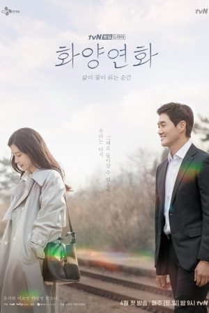 Poster phim Khi Hoa Tình Yêu Nở