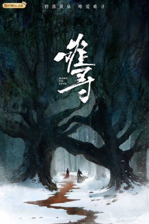 Poster phim Khó Tìm (Nan Tầm)