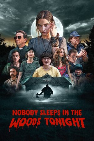Poster phim Không ai ngủ trong rừng đêm nay