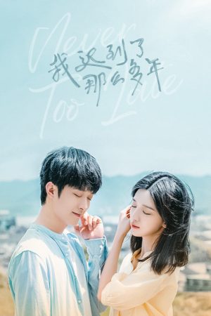Poster phim Không Bao Giờ Là Quá Muộn