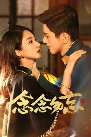 Poster phim Không Bao Giờ Quên