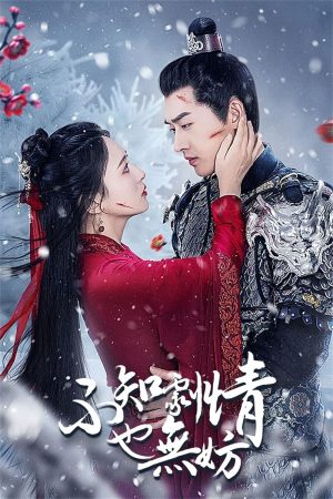 Poster phim Song Sinh Tìm Lại