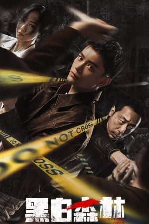 Poster phim Khu Rừng Đen Trắng