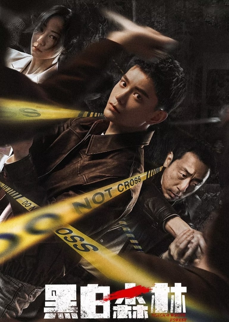 Poster phim Khu Rừng Đen Trắng