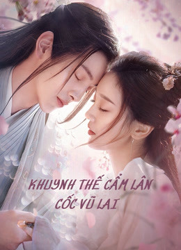Poster phim Khuynh Thế Cẩm Lân Cốc Vũ Lai