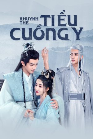 Poster phim Khuynh Thế Tiểu Cuồng Y