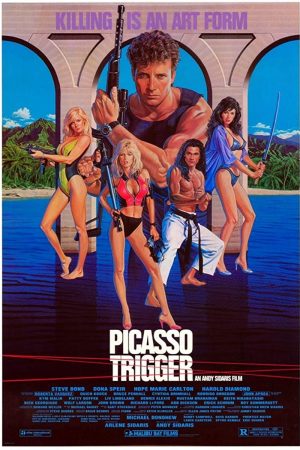 Poster phim Kích hoạt Picasso