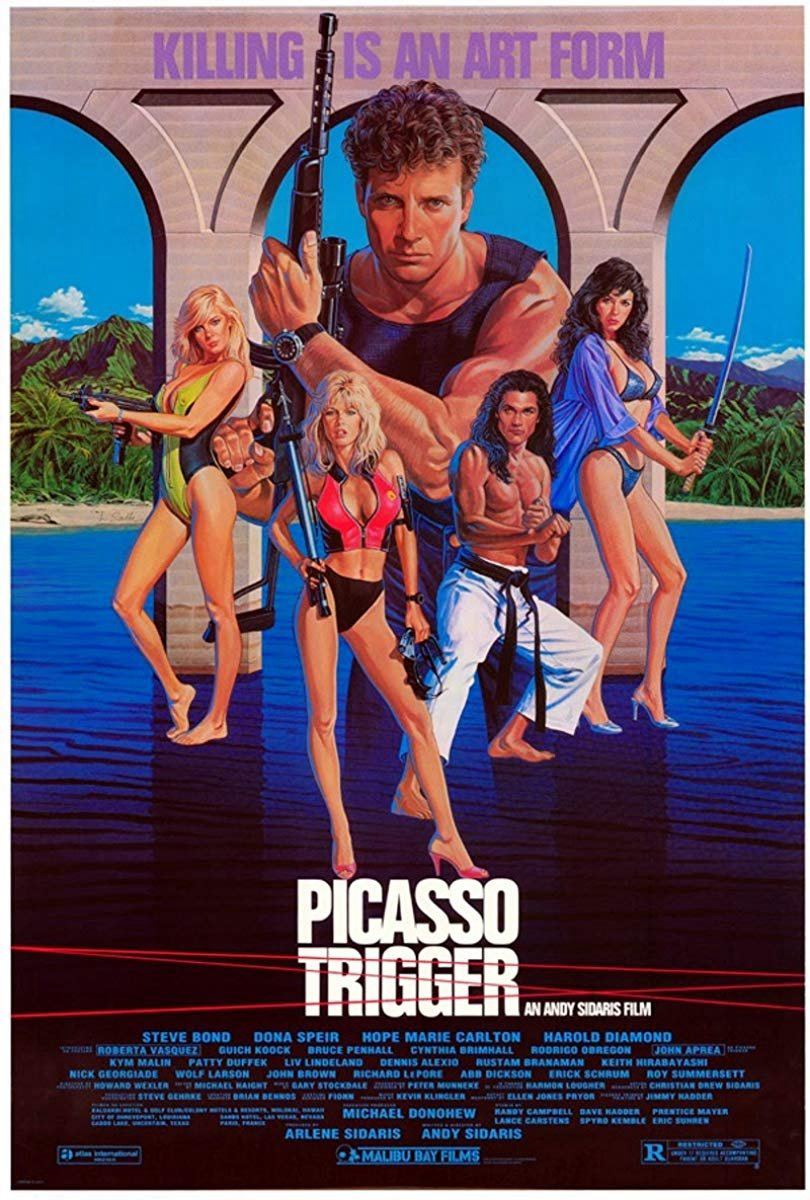 Poster phim Kích hoạt Picasso