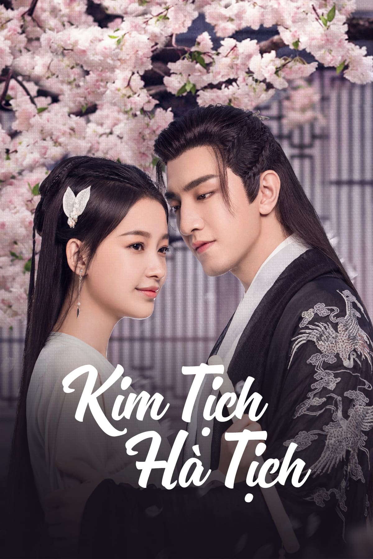 Poster phim Kim Tịch Hà Tịch
