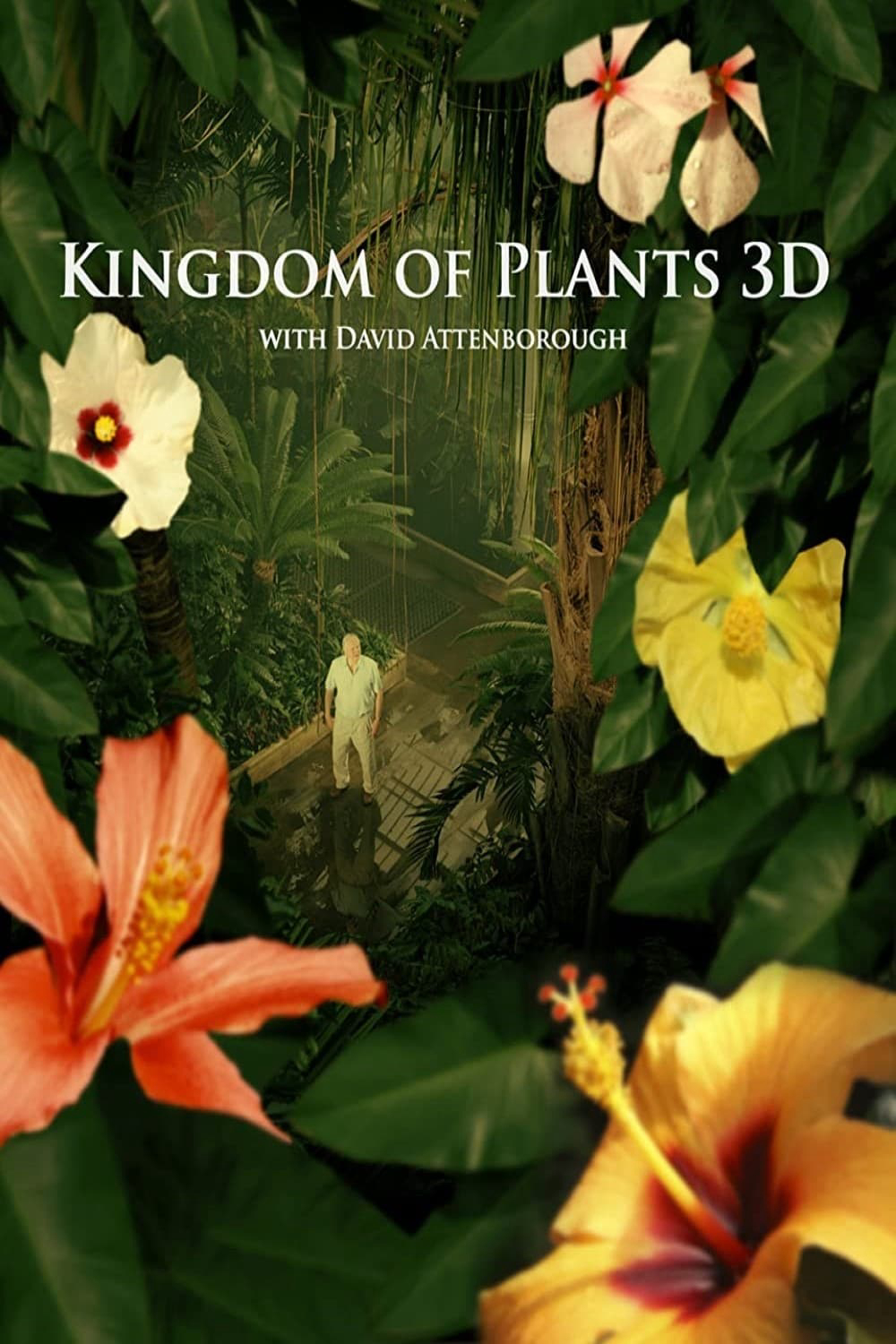 Poster phim Kingdom of Plants