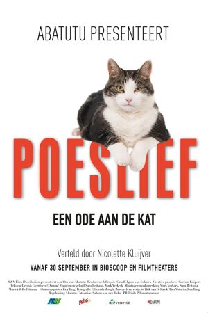 Poster phim Kitty Love: Mèo cưng nhà mình