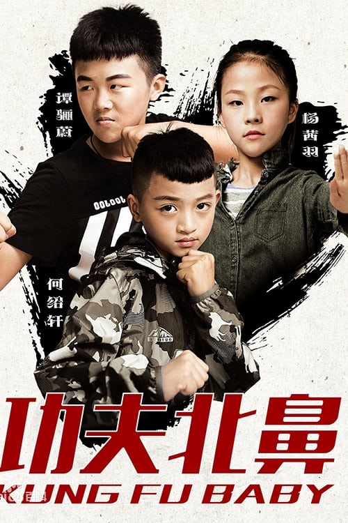 Poster phim Kung Fu Baby