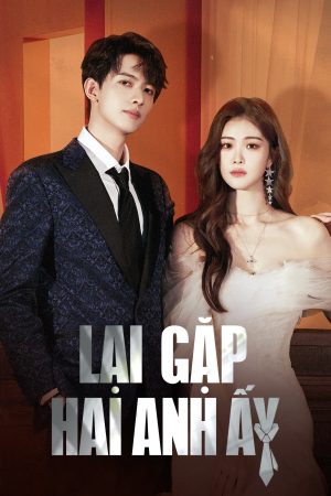 Poster phim Lại Gặp Hai Anh Ấy