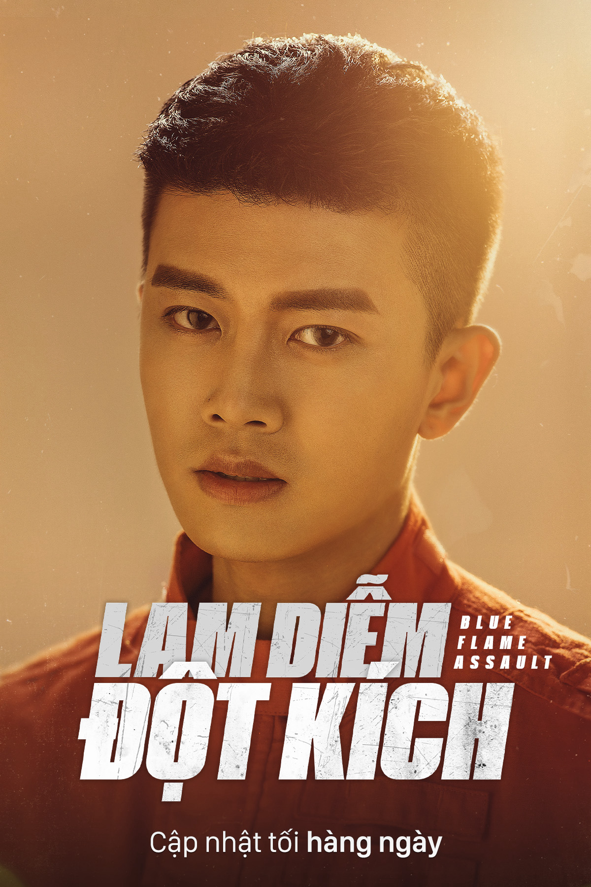Poster phim Lam Diễm Đột Kích
