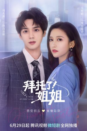 Poster phim Làm Ơn Đi Chị