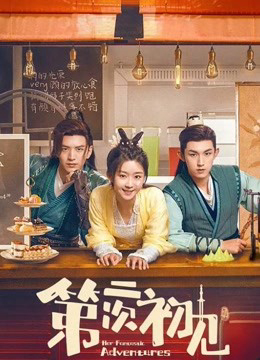 Poster phim Lần Gặp Đầu Thứ Hai