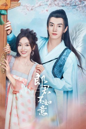 Poster phim Lang Quân Không Như Ý