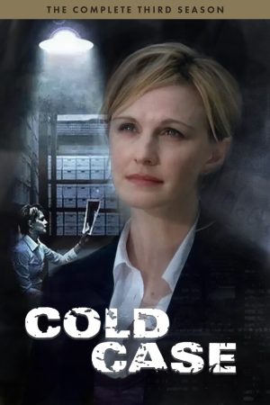 Poster phim Lãnh Án (Phần 3)