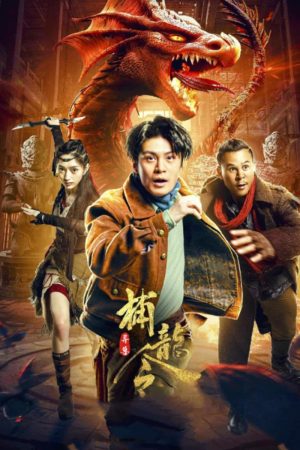 Poster phim Lệnh Bắt Rồng
