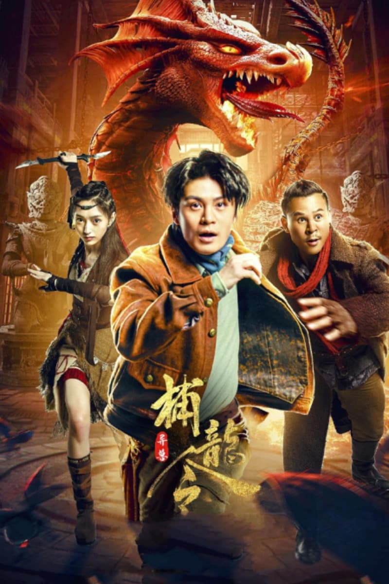 Poster phim Lệnh Bắt Rồng