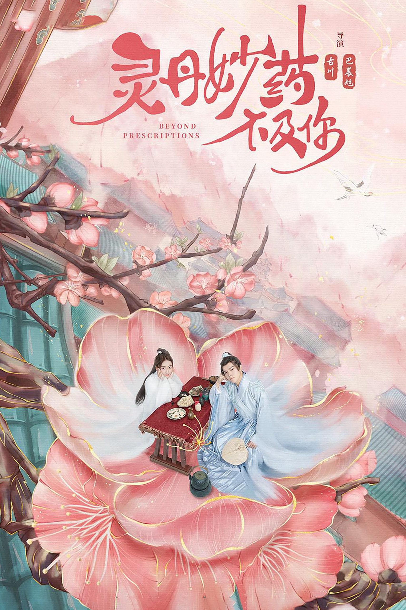 Poster phim Linh Đan Diệu Dược Không Bằng Nàng