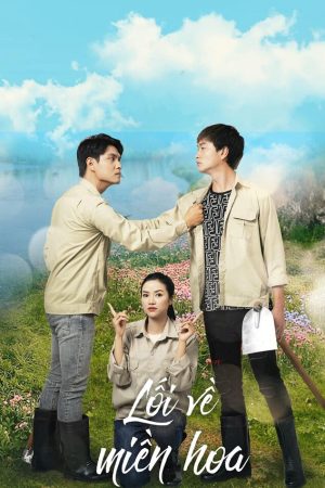 Poster phim Lối Về Miền Hoa