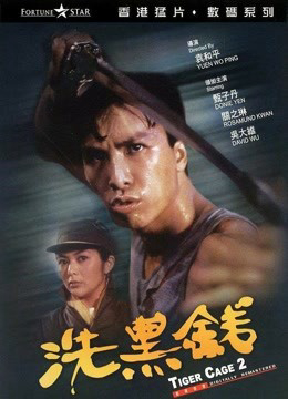 Poster phim Tiger Cage II