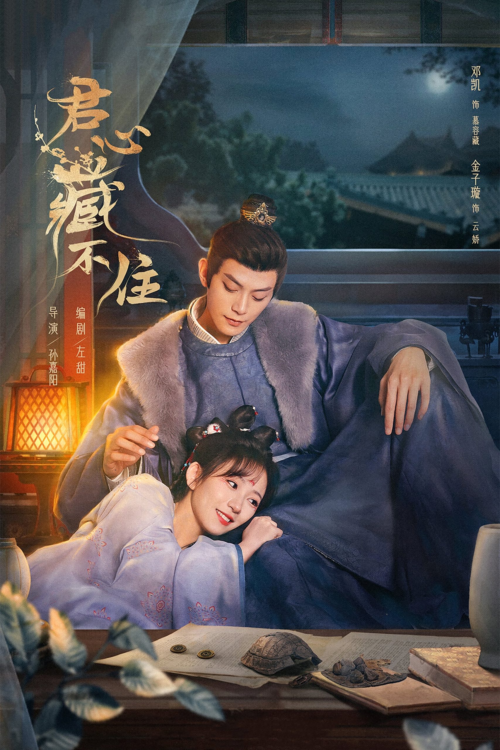 Poster phim Lòng Quân Không Thể Giấu