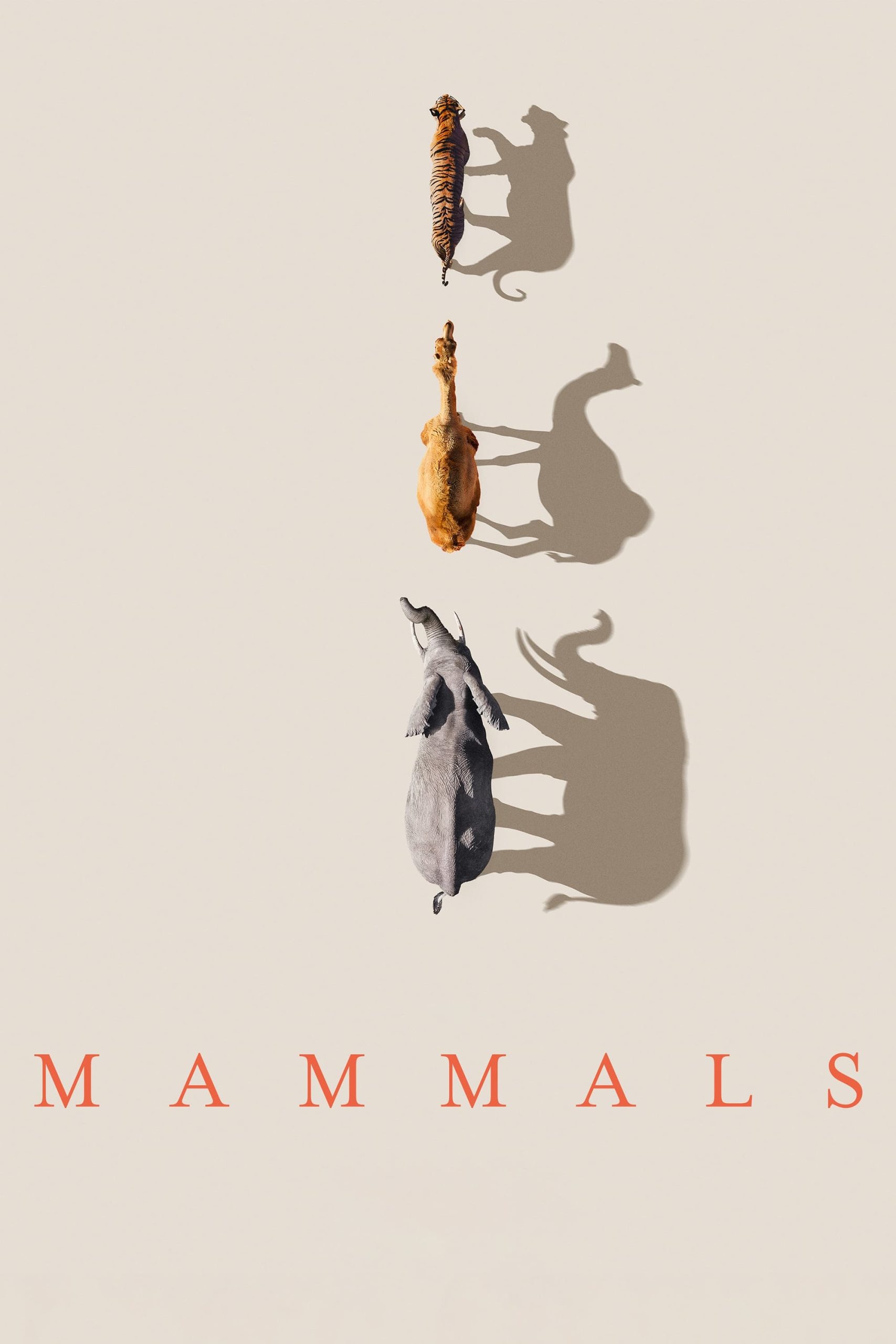 Poster phim Mammals (2024)
