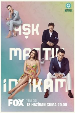 Poster phim Love Logic Revenge