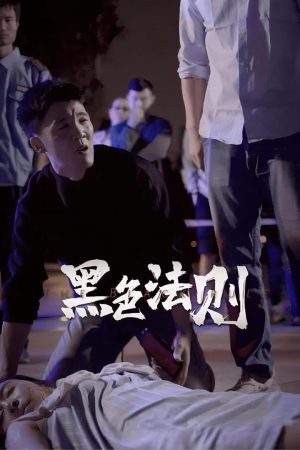 Poster phim Luật Tối