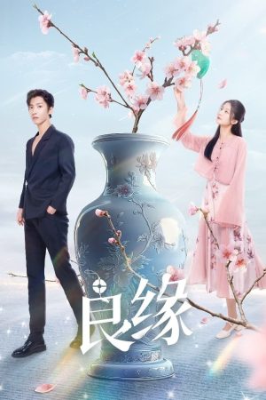 Poster phim Lương Duyên