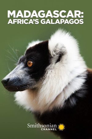 Poster phim Madagascar: Africa’s Galapagos