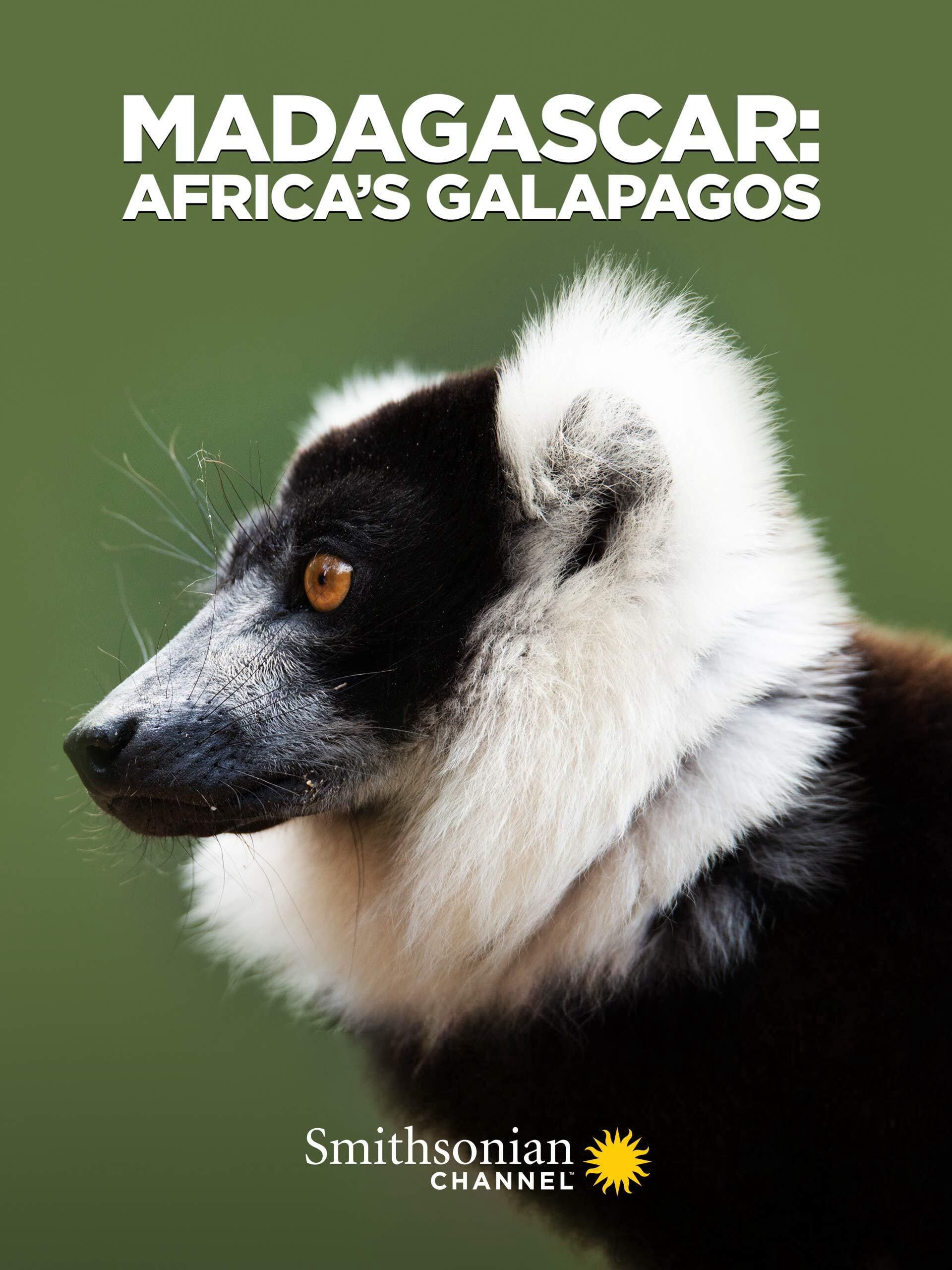 Poster phim Madagascar: Africa’s Galapagos