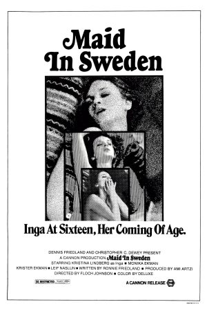 Poster phim Maid in Sweden
