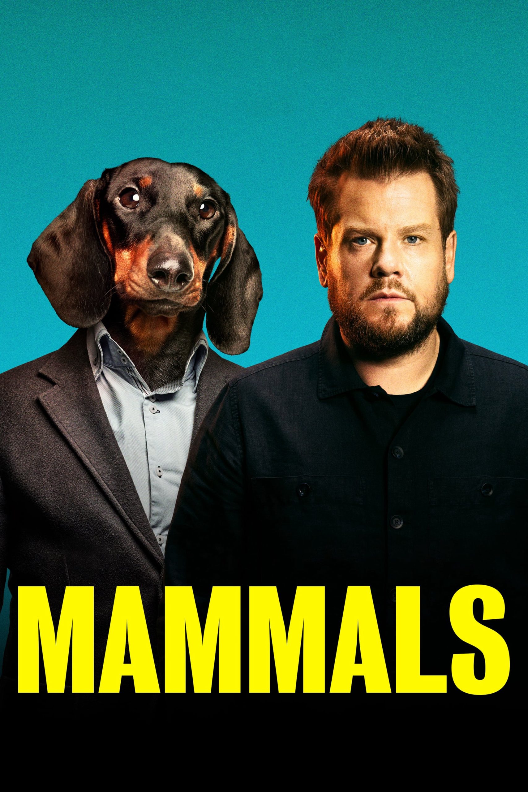 Poster phim Mammals