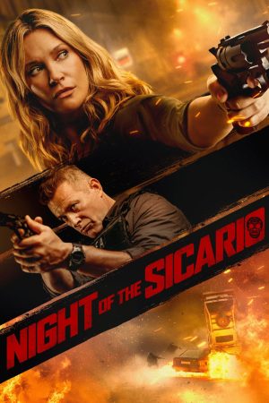 Poster phim Màn Đêm Của Sicario