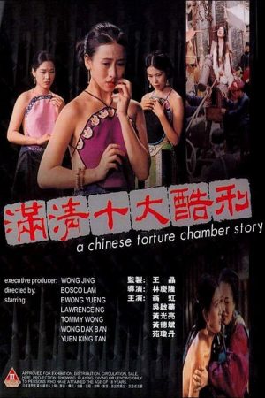 Poster phim A Chinese Torture Chamber Story