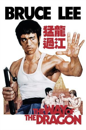 Poster phim Mãnh Long Quá Giang