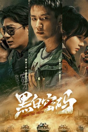 Poster phim Mật Mã Đen Trắng