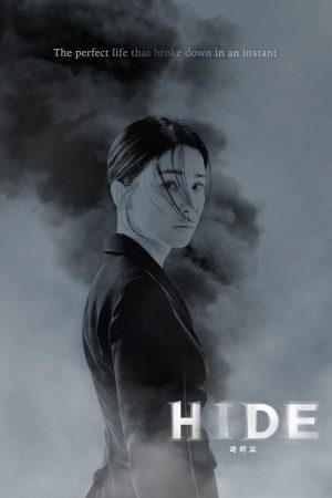 Poster phim Mất Tích