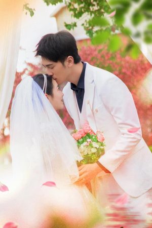Poster phim Mẹ Cún Con, Bố Mèo