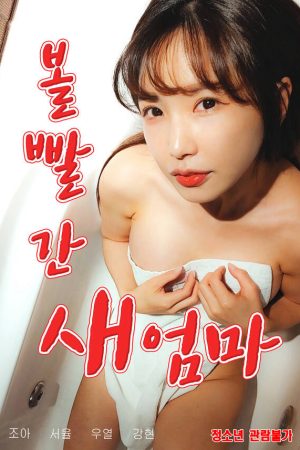 Poster phim Mẹ Kế Táo Bạo